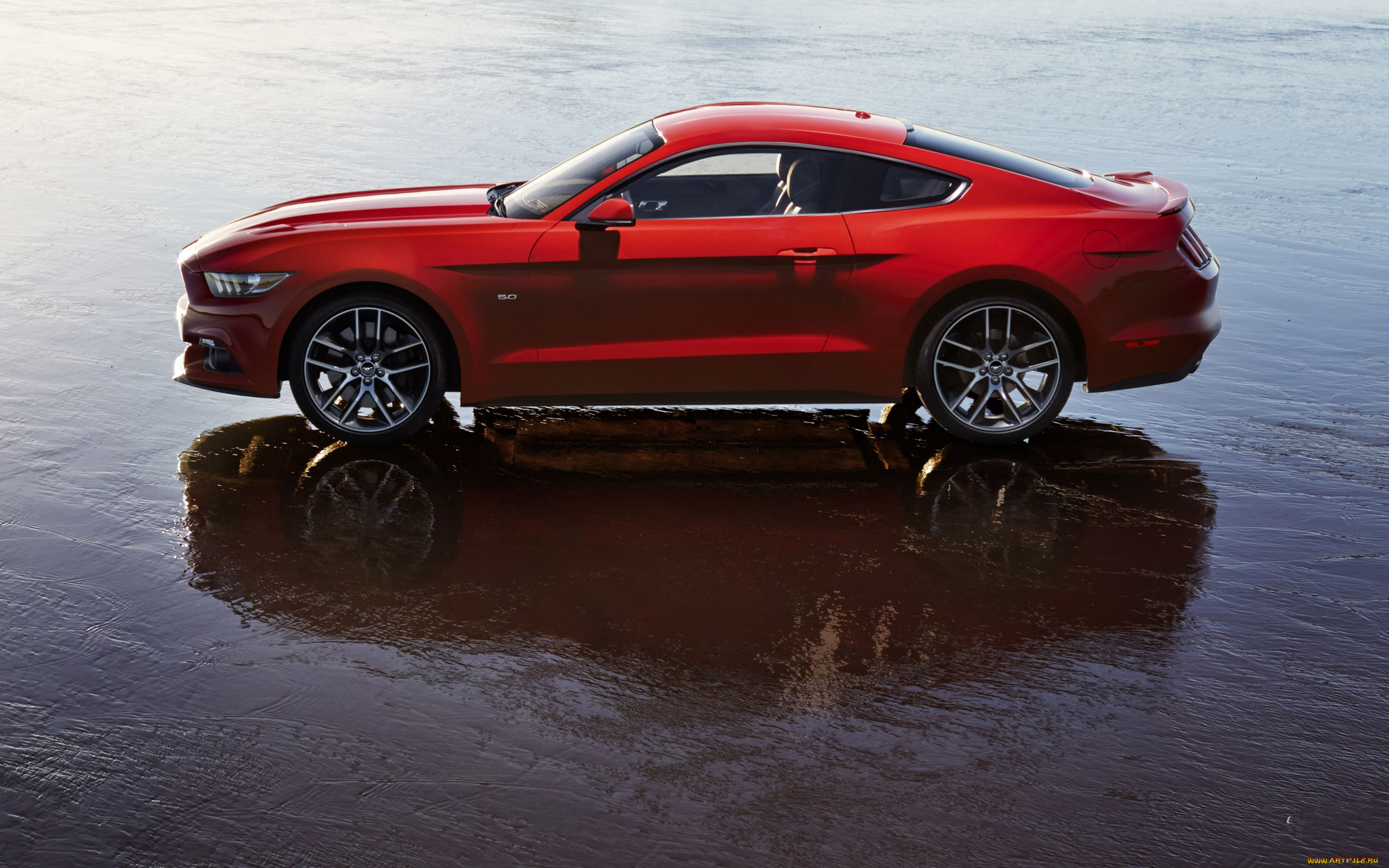 ford mustang gt, , mustang, , , , ford, motor, company